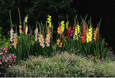 像素风摔跤RPG《传奇摔角手》公布战斗预告片